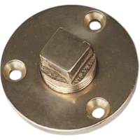 Buson Scurgere Trem Din Alama Cu Filet 1/2"