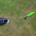 Clips Momeala Zeck Baitfish Clip Hair Rig 15mm, 5buc/pac Clips Momeala Zeck Baitfish Clip Hair Rig 15mm, 5buc/pac
