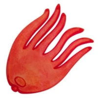 Opritor Momeala ZEBCO DB Series Bait Holding Flags, 20buc/pac Opritor Momeala ZEBCO DB Series Bait Holding Flags, 20buc/pac