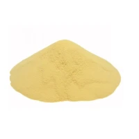 EXTRACT DROJDIE STICKY BAITS PURE YEAST 1KG