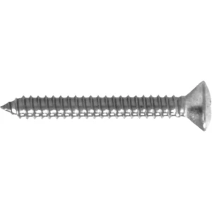 Surub Autofiletant cu Cap Inecat AQUINOX DIN 7983 4.8x38mm, Inox A4, 100buc/pac