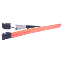 Cleste Plantat Claumar Portocaliu Cleste Plantat Claumar Portocaliu