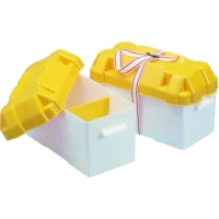 Cutie Pentru Baterie Trem 410x200x200mm, Alb/galben