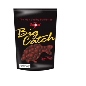 Boilies Carp Zoom Big Catch 18mm 800gr Scopex-tigernuts