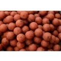 BOILIES SOLAR SHELF-LIFE BOILIES 15MM QUENCH 5KG