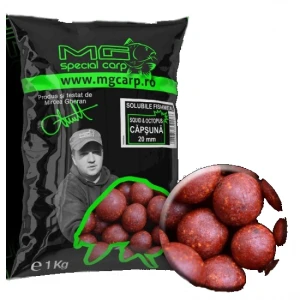 Boilies Mg Special Carp Tari Squid Octopus Cranberry 24mm 1kg