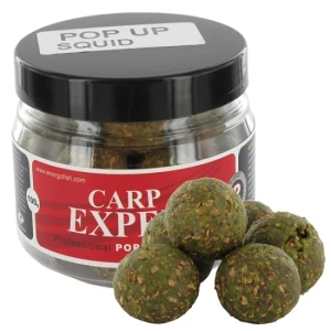 Boilies Carp Expert Pop Up 150g Squid 20mm