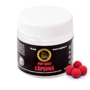 Boilies Carping Club Capsuna Pop-up Tare 10 Mm 25gr