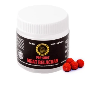 Boilies Carping Club Meat Pop-up Tare Belachan 10mm 25gr