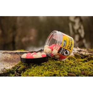 Pop-ups Solar 18mm E12