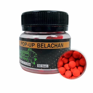 Pop-up Mg Special Carp Belachan 8mm