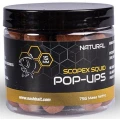Pop Up Nash Scopex Squid 2024, Natural, 15mm, 75g Pop Up Nash Scopex Squid 2024, Natural, 15mm, 75g