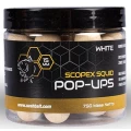 Pop Up Nash Scopex Squid 2024, White, 15mm, 75g Pop Up Nash Scopex Squid 2024, White, 15mm, 75g