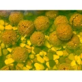 Boilies Claumar Fishmeal Nuclear Krill-Capsuna 4kg 24mm