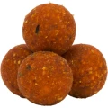 Boilies Tare AVID Carp Nutrition, Plum & Peach, 15mm, 1kg