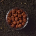 Boilies WLC Cocoon Mini Boilies, Red Squid, 6mm, 40g