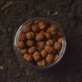 Boilies WLC Cocoon Mini Boilies Semi Solubil, No.1 Fishmeal, 6mm, 40g