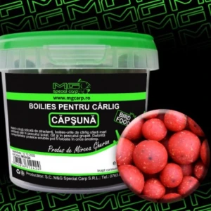 Boiliesuri Dipuite De Carlig MG Special Carp Capsuna 200gr Boiliesuri Dipuite De Carlig MG Special Carp Capsuna 200gr