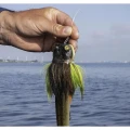 Jig Head FOX RAGE Buck Frog Large, Burbot, 50g, 1buc/pac