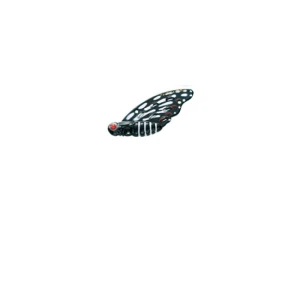 Cicada Strike Pro 3,3cm/4,3g Farfalla 871