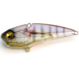Cicada Raid Japan Level Vib Boost Heavy, 024 Sukebe Gill, 6cm, 18g