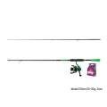 Set Spinning Delphin GreenSPIN 210cm/30g plus 2T0.22mm