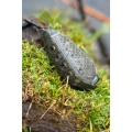 Cosulet Feeder KORUM Bait Gripper Feeder, 180g, 1buc/pac