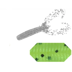 Grub Colmic X35 Double Claw 3.5