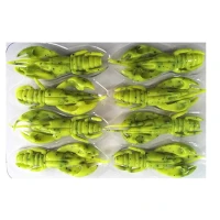 RAC RAPTURE ALIVE CRAW 5CM 1.8GR CHARTREUSE 8BUC RAC RAPTURE ALIVE CRAW 5CM 1.8GR CHARTREUSE 8BUC