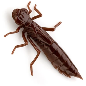 Creatura FISHUP Dragonfly, 2cm, Chaos, 12buc/pac Creatura FISHUP Dragonfly, 2cm, Chaos, 12buc/pac