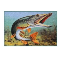 Covor Stiuca Delphin 3d 60 X 40 Cm