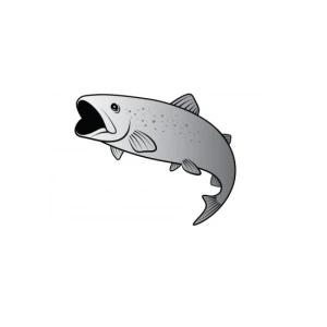 Sticker Delphin Pastrav Silver