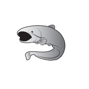 Sticker Delphin Somn Silver