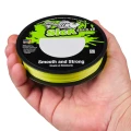 Fir Textil BERKLEY Sick Braid, Flame Green, 0.23mm, 23.60kg 2000m Fir Textil BERKLEY Sick Braid, Flame Green, 0.23mm, 23.60kg 2000m