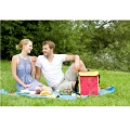 Geanta termoizolanta Campingaz MiniMaxi, 19ltr, Pink Daisy Geanta termoizolanta Campingaz MiniMaxi, 19ltr, Pink Daisy