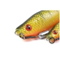 Grub FOX RAGE Pro Grub Loaded, 16cm, 35g, Realistic Roach, 1buc/pac