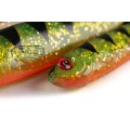 Grub Fox Rage Slick Eel, UV Perch, 28cm, 1buc/pac