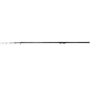 Lanseta Bologneza Arno Monza 4.00m 10-30g