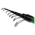 LANSETA BOLOGNEZA PRO FL MASTER ELITE 5.00M 5-30g