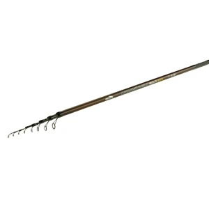 Bologneza Nevis Whisper 6m