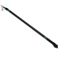 Lanseta Bologneza Pro Fl Master Elite 6.00m 5-30g