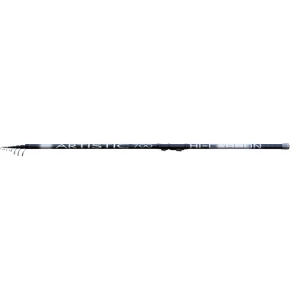 Lanseta Bolognese Lineaeffe Artistic 7.00m 5-25g