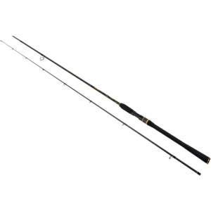 Lanseta FORMAX Aries Cast, 2.58m, 40-80g, 2seg