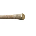 Lanseta Delphin Impala Carp cork edition 2Seg 3.00M 3.00lbs