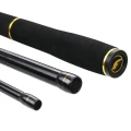 Lanseta FORMAX Aries Feeder, 3.60m, 100g, 3+3seg