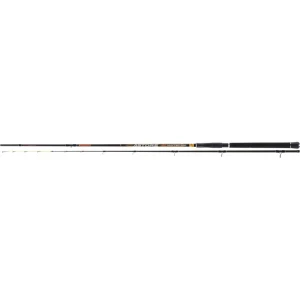 Lanseta Trabucco Astore Iso Hunter 3.00m 250g 2+3buc