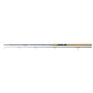 Lanseta Daiwa 2seg Seahunter X 2.70m 100-200g