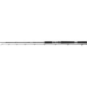 Lanseta Daiwa Lexa Baicast Spinning Xx 2.30m/100-175g 2seg