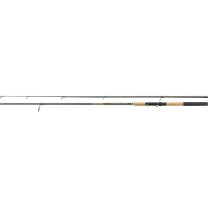 Lanseta Jaxon Cantara Spinning 2.10m 40gr 2seg