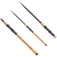Lanseta Daiwa Tele Ninja X Spin, 10-30g, 2.40m, 6seg